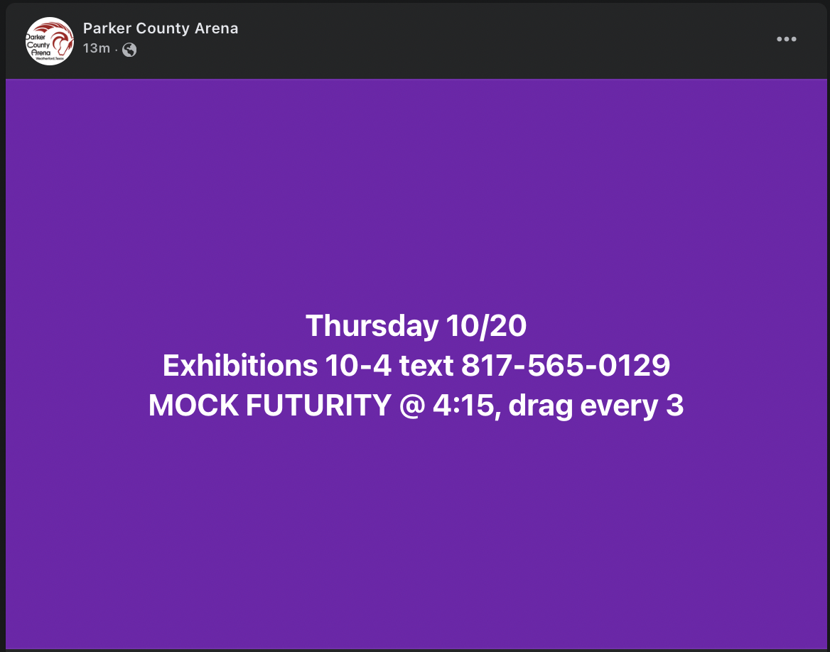 Exhibitions / Mock Futurity